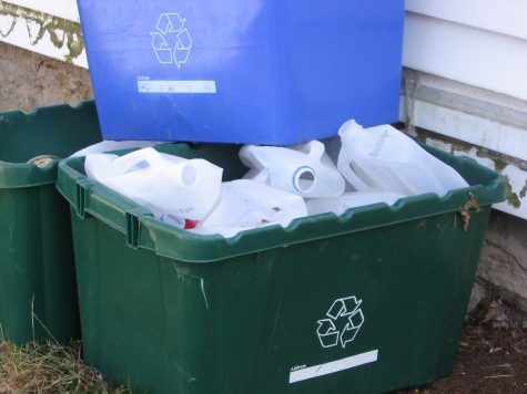 pic of recycling bins