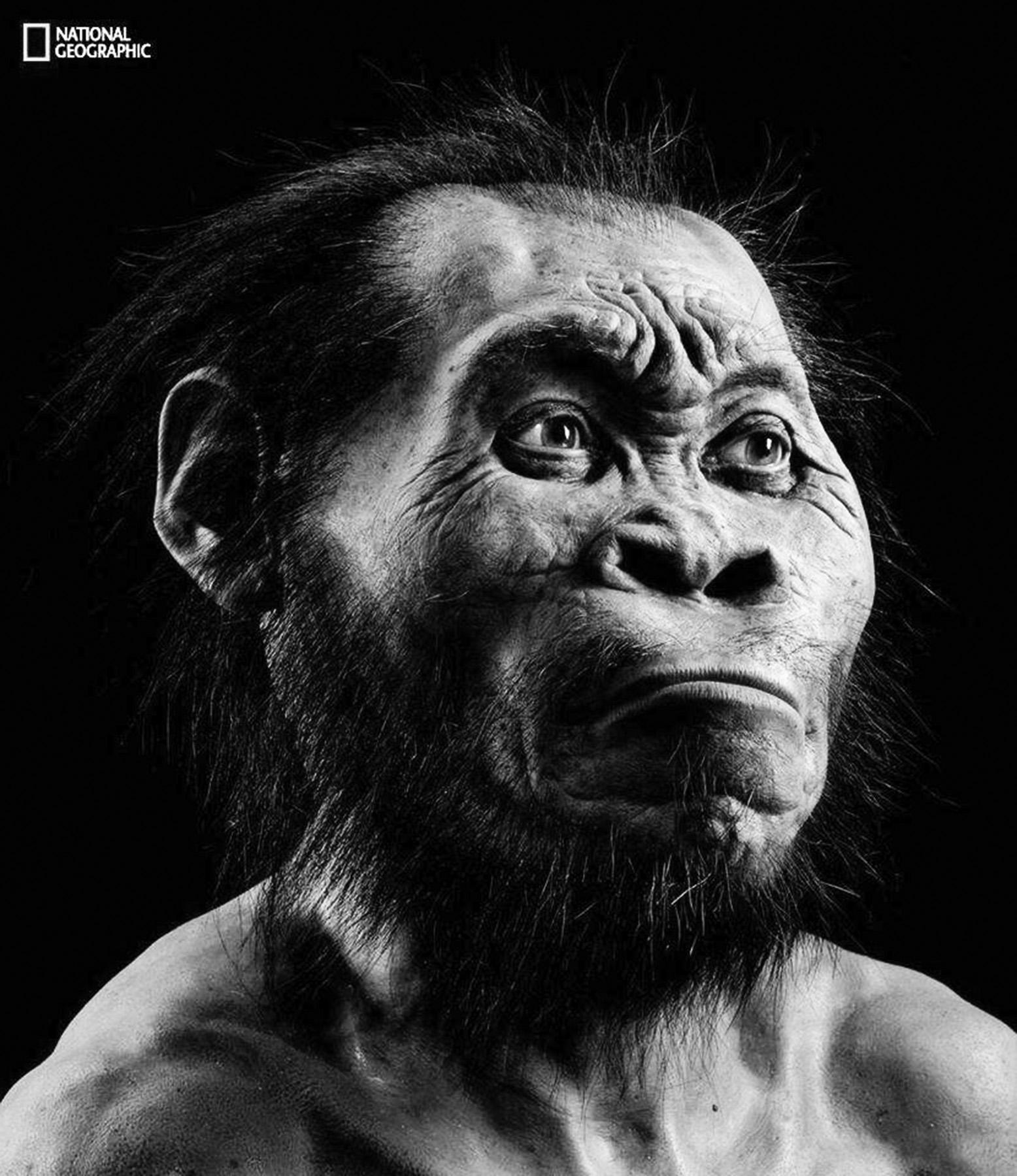 A new branch in human evolution – The Simmons Voice