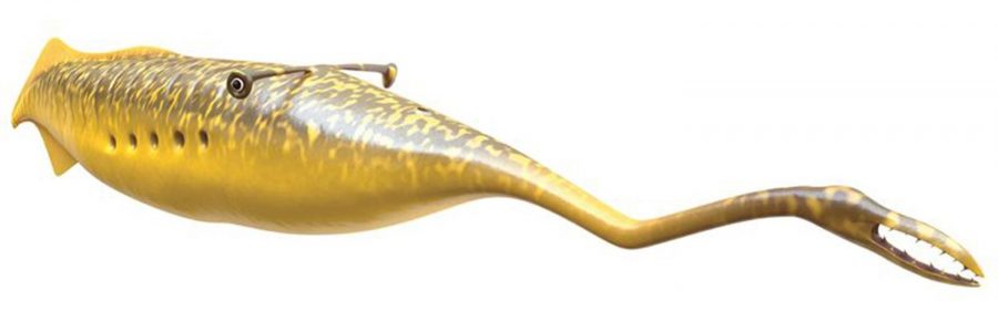 Digital recreation of the Tully monster