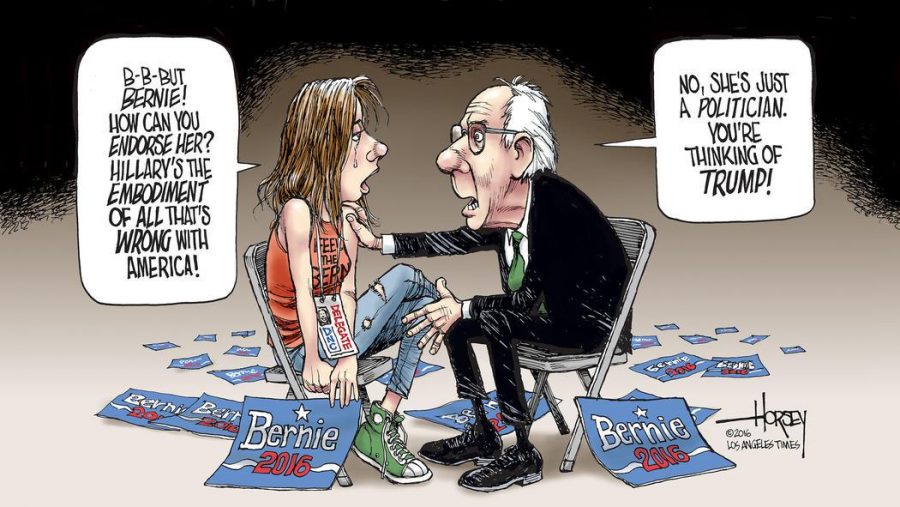 Grieving for the Bernie campaign