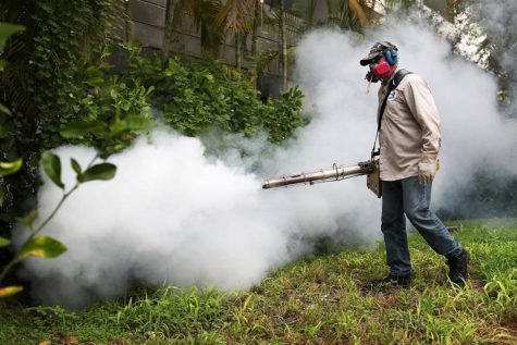 Mosquito pesticides for Zika virus affect bees