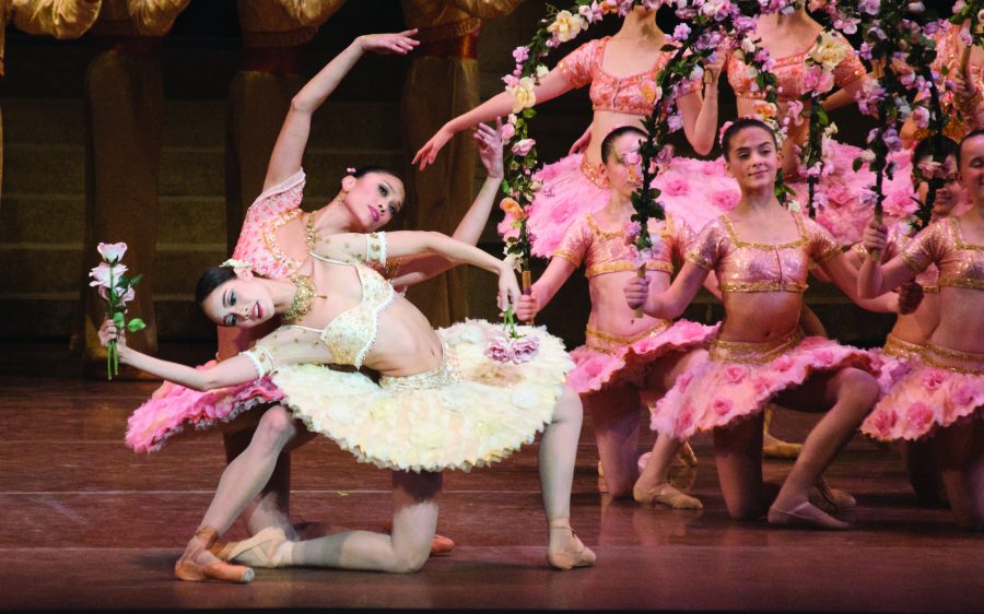 Boston Ballet’s ‘Le Corsaire’ features true love and swashbuckling pirates