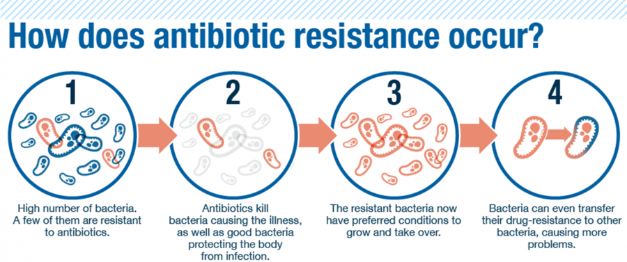 Antibiotic-resistant bacteria threat
