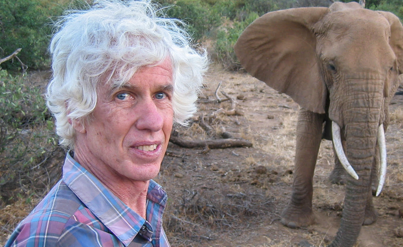 American ivory trade investigator stabbed to death in Kenya