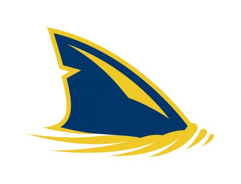 Logo courtesy of Simmons University Athletics