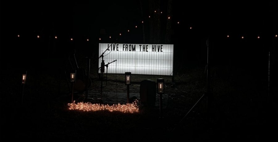 Live+From+the+Hive