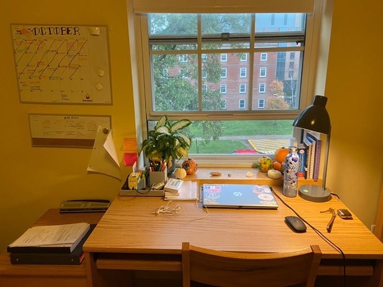 COVID tests, classes and isolation: the story of a first-year living on campus
