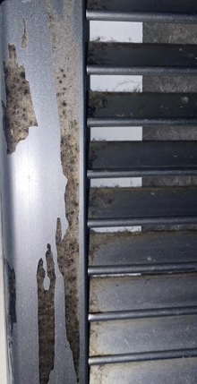 Mold around the air vent in Jo Burns South Hall dorm room.