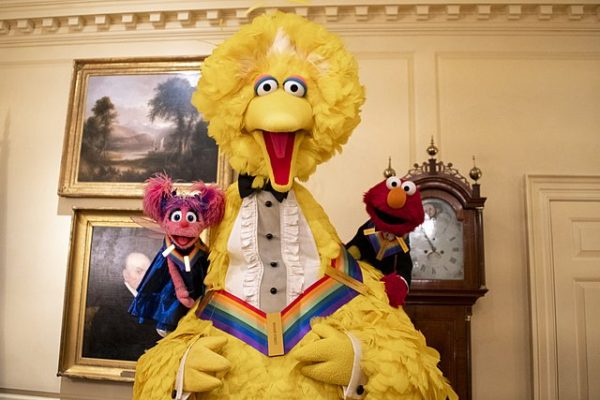 Big Bird is Small: What are we doing about it?