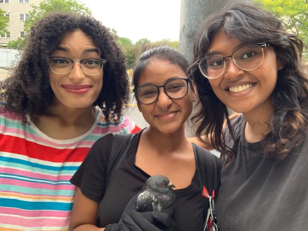 Simmons students go from studying to saving a pigeon