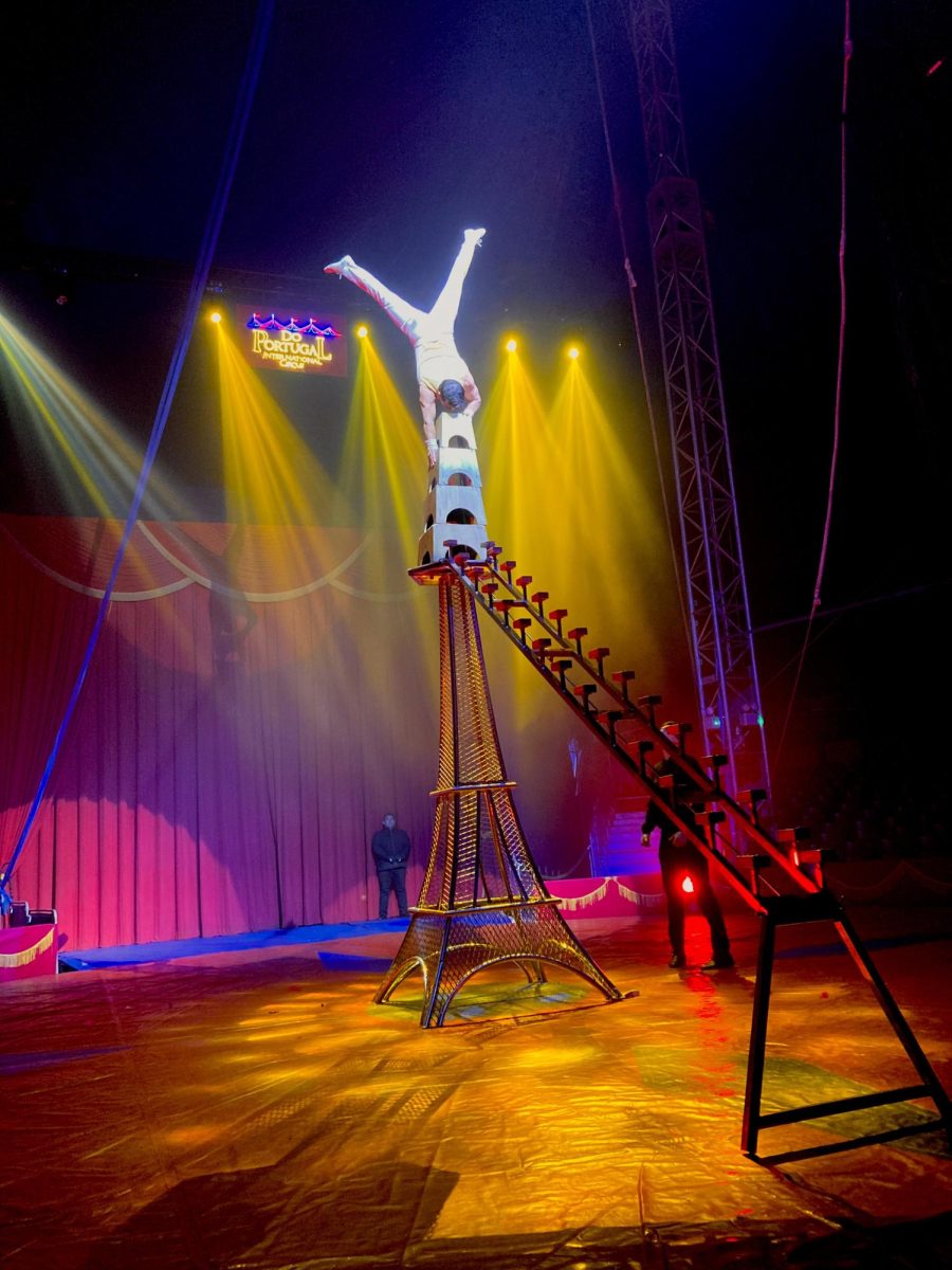“Something for everybody:" The Do Portugal Circus returns to Boston