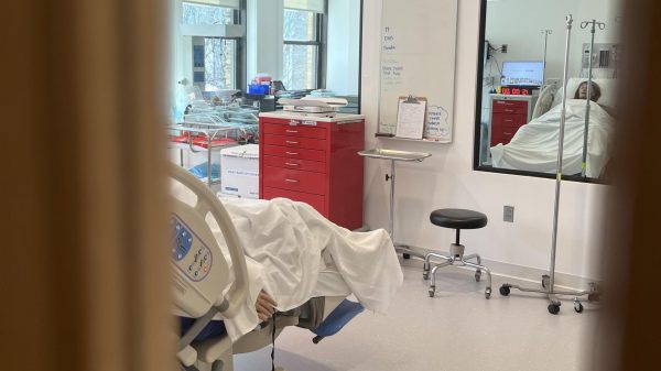 Next Generation NCLEX linked to drop in Simmons pass rates